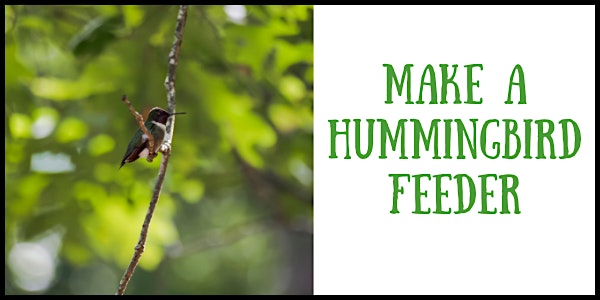 DIY Hummingbird Feeder