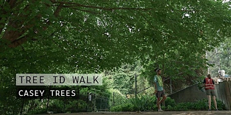[CANCELLED] Moonlight Tree Walk at the US National Arboretum