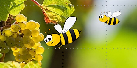 BEES IN THE VINEYARD - A holistic approach to sustainable farming tickets