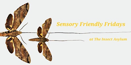 Sensory friendly Fridays tickets