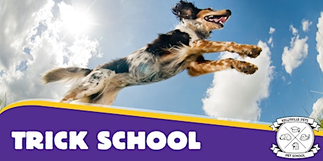 Dog Trick School 2022 - 6 week course tickets