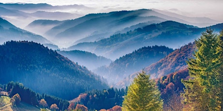 Black Forest: Hike along Germany’s most famous mountains (4 DAYS) Tickets