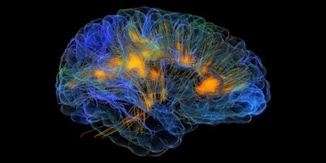 Neuroscience of Healing and Flow primary image