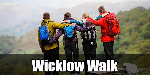 Wicklow Walk for Ages 30-45