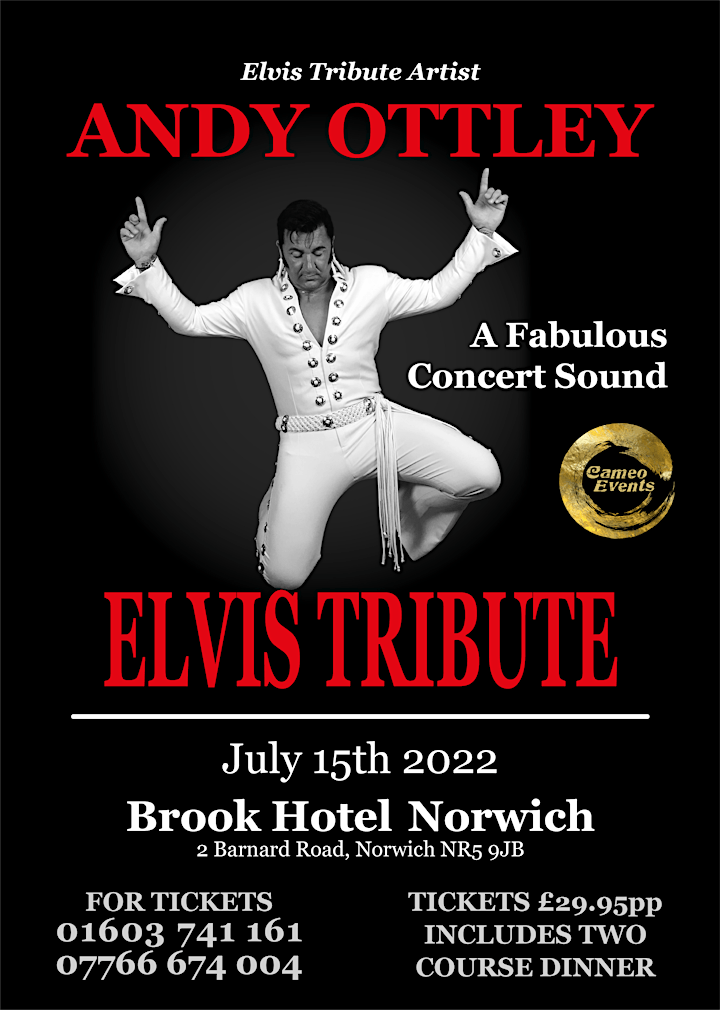 Elvis Tribute Night with Andy Ottley image