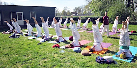 Imagen principal de Formación de profesores de yoga en Europe mayo 2017