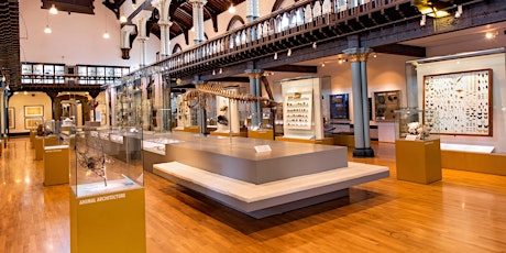 The Hunterian's Weekly Talk - Curating Discomfort and Numismatics
