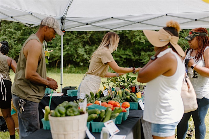 Juneteenth Feeding the Root GROWS Market image