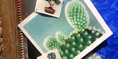 ART BAR May! Paint Your Plants!
