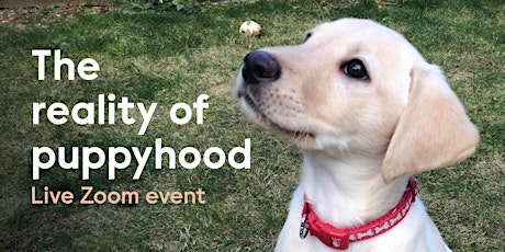 The Reality of Puppyhood - Live Zoom Event tickets