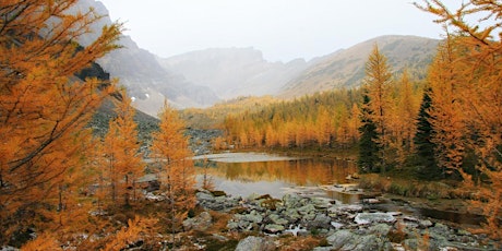 Taylor Lake Fall Larch Hike + Photo Adventure tickets