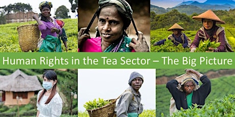 Human Rights in the Tea Sector - The Big Picture primary image