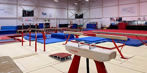 Primaire afbeelding van Adult Gymnastics Class