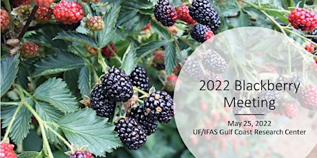 2022 Blackberry Meeting tickets