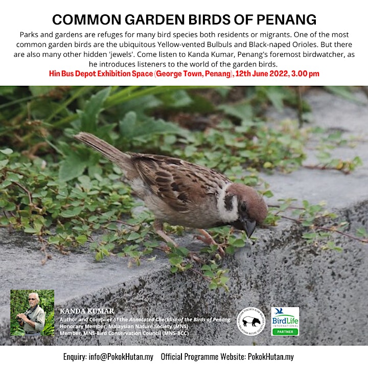 Talk: Common Garden Birds of Penang with Kanda Kumar image