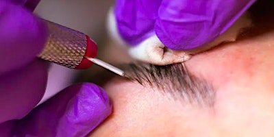 Imagen principal de Microblading with  Lash Extensions Combo Class - Orange Count CA