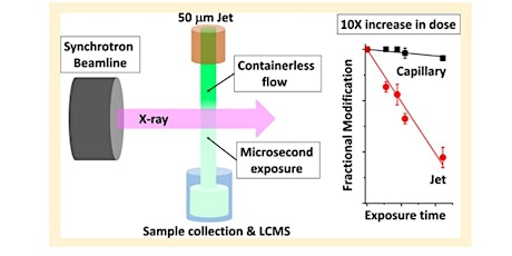Biological Macromolecules' structure; XFMS investigation tickets