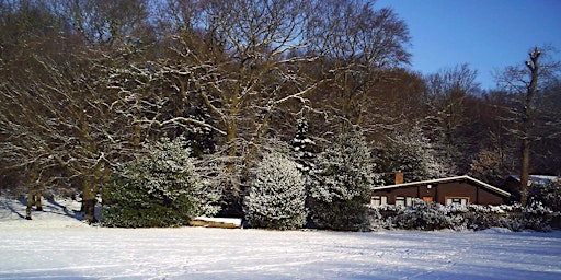 Highgate Wood in Winter