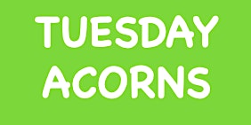 Tuesday Acorns