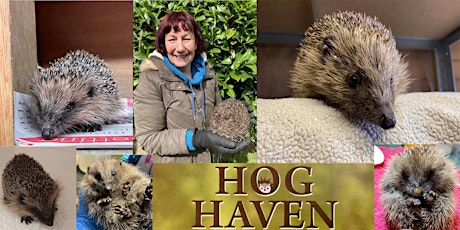 Hedgehog rescue: the role of Hog Haven in looking after injured hedgehogs tickets