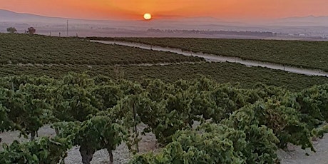 Back to the Future: The Wines of Andalucia tickets