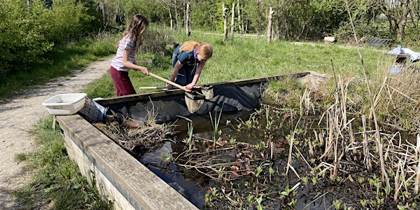 Pond dipping Drop in session at The Avenue Country Park