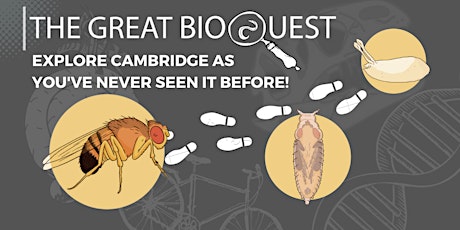 The Great BioQuest Discovery Trail