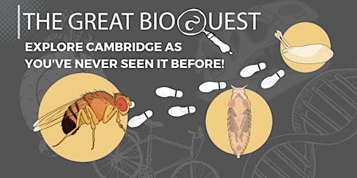 The Great BioQuest Discovery Trail