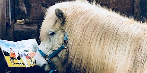 Horse Tales 2022