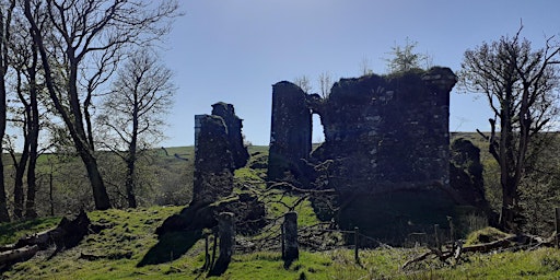 Glengarnock Castle Bioblitz