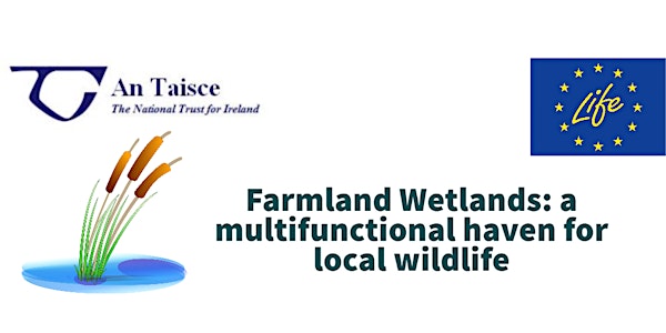 Farmland wetlands: a multifunctional haven for local wildlife