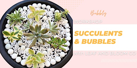 Succulents and Bubbles  Workshop tickets