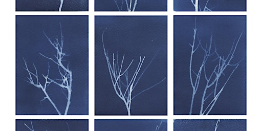Cyanotypes: Printing with the Sun with Megan Berner