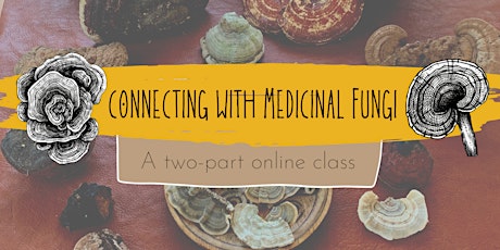 Connecting with Medicinal Fungi: A two-part online class tickets