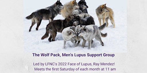 The Wolf Pack, Men's Lupus Support Group