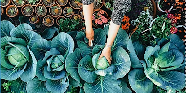 Succulents, Terraniums & Herbs with Sandy