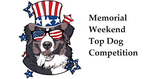 Top Dog Competition