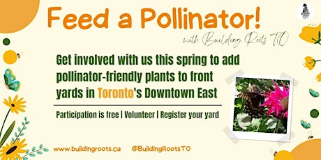Feed a Pollinator!