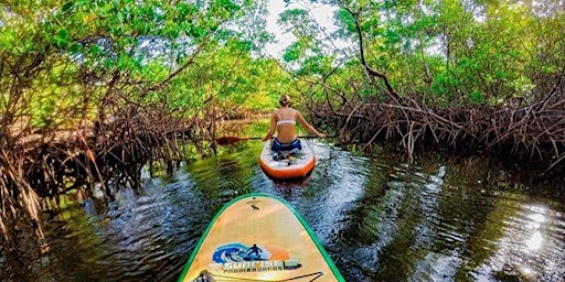 2 for 1 Island City ECO Paddle and Lesson (Choose Kayak or Paddle Board)