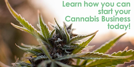 Cannabis Business Seminar - can I still get in the cannabis industry? tickets