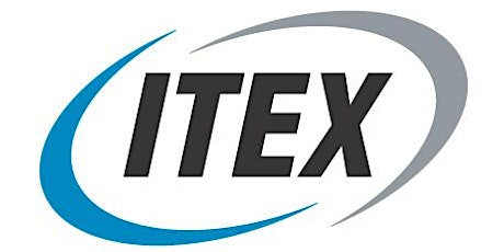 ITEX: A New Type of a Currency primary image