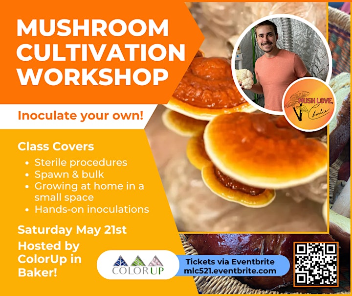  "Inoc n' Talk" - A Beginner Mushroom Cultivation Workshop image 