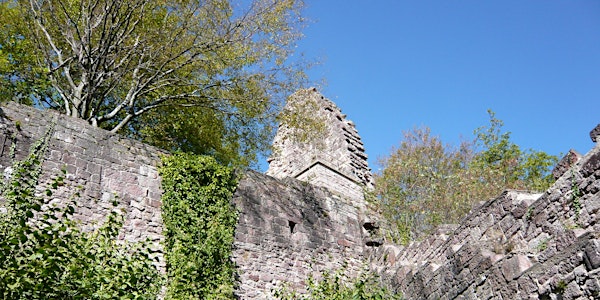 Single-Wanderung Yburg - Petersee (30 - 45)