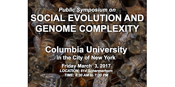 Symposium: Social Evolution and Genome Complexity