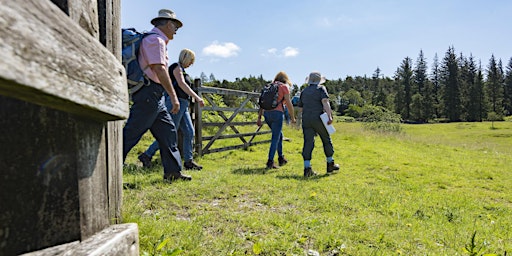 Guided countryside walks