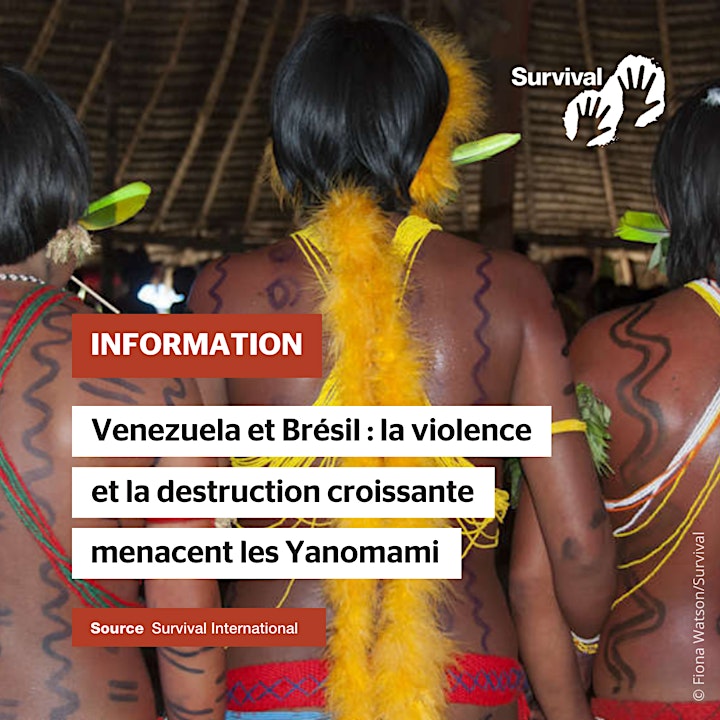 Image pour Menaces et résistances : les Yanomami face à l’orpaillage illégal 