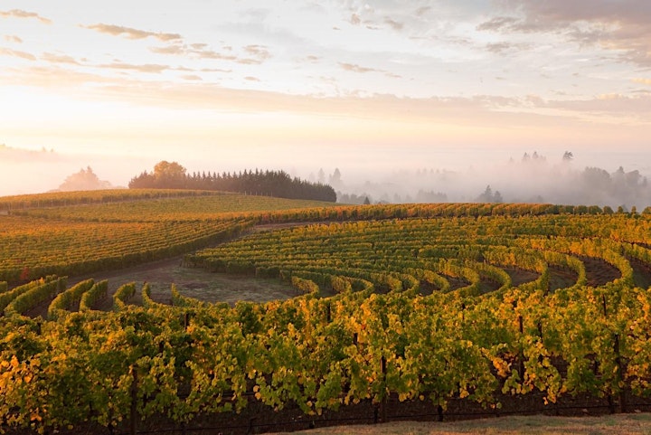 Image de MASTERCLASS Oregon & Washington - Expédition Vins et Gastronomie