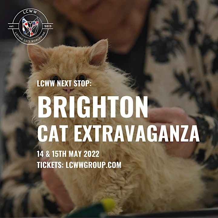 LCWW Cat Extravaganza in Brighton image