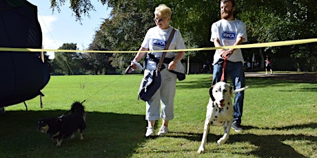 RSPCA Paws in the Park sponsored dog walk primary image