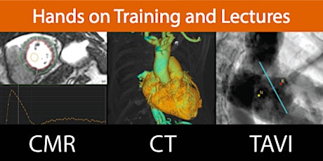 Cardiovascular MRI & CT with Clinical Correlation, Learn from the Experts: Hands On from Basic to Advance primary image